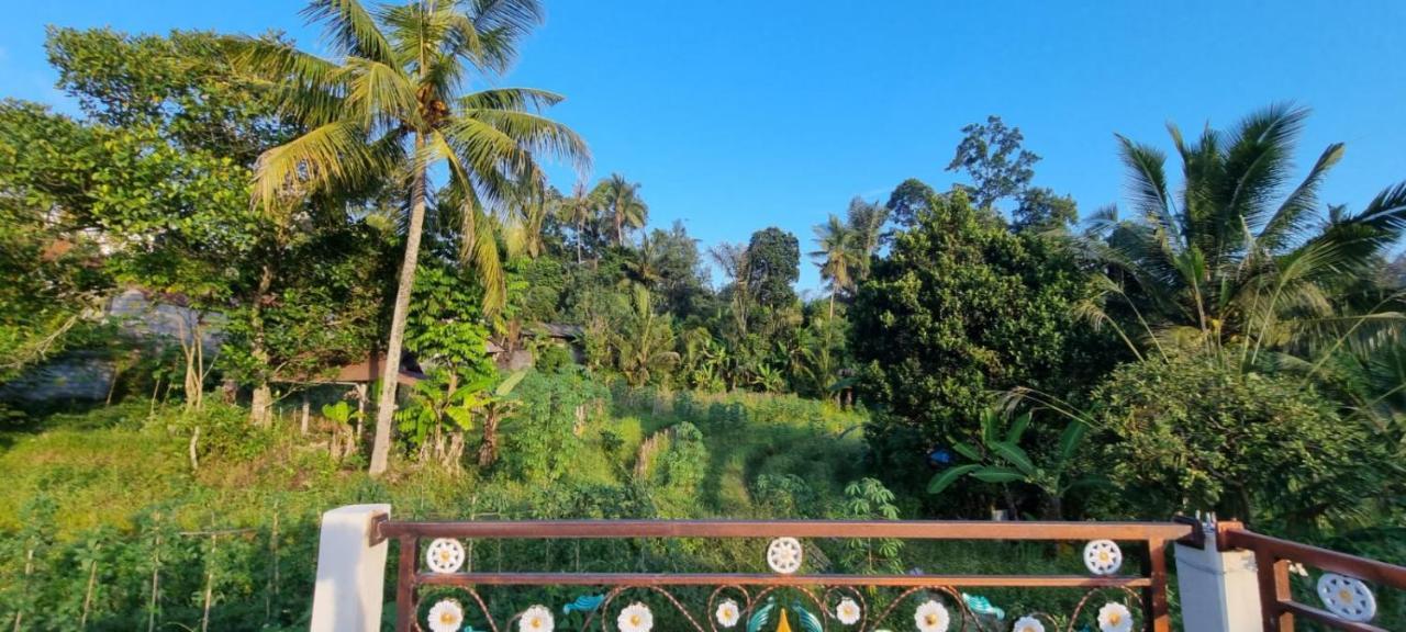 Sri Sedana Homestay Sidemen  Exteriér fotografie